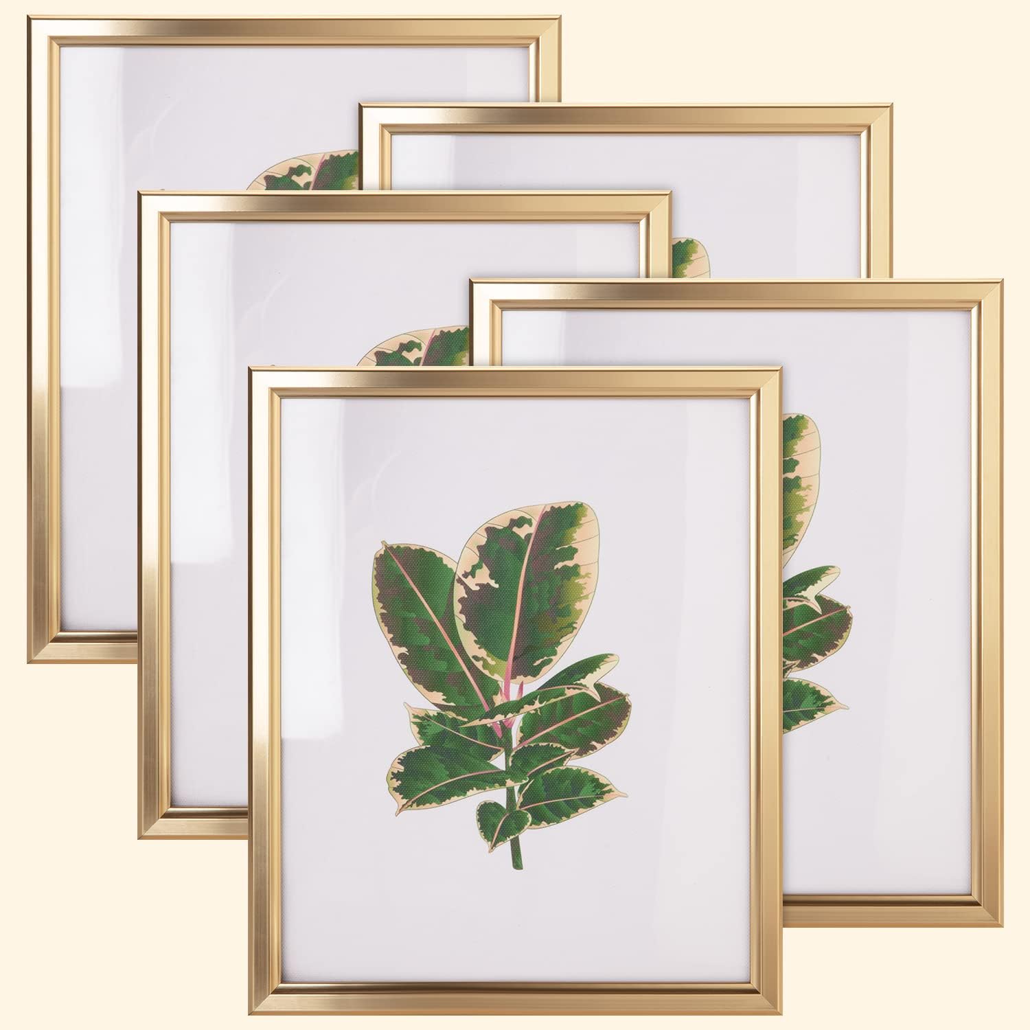 Yulinne 8x10 Matte Gold Picture Frame Set of 5, HD Glass, Modern Style, Tabletop or Gallery Wall